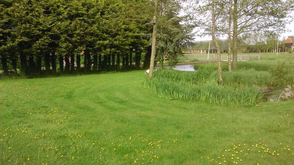 Appartement De Molshoop Landsmeer Rum bild